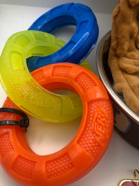 Dog holiday gift set