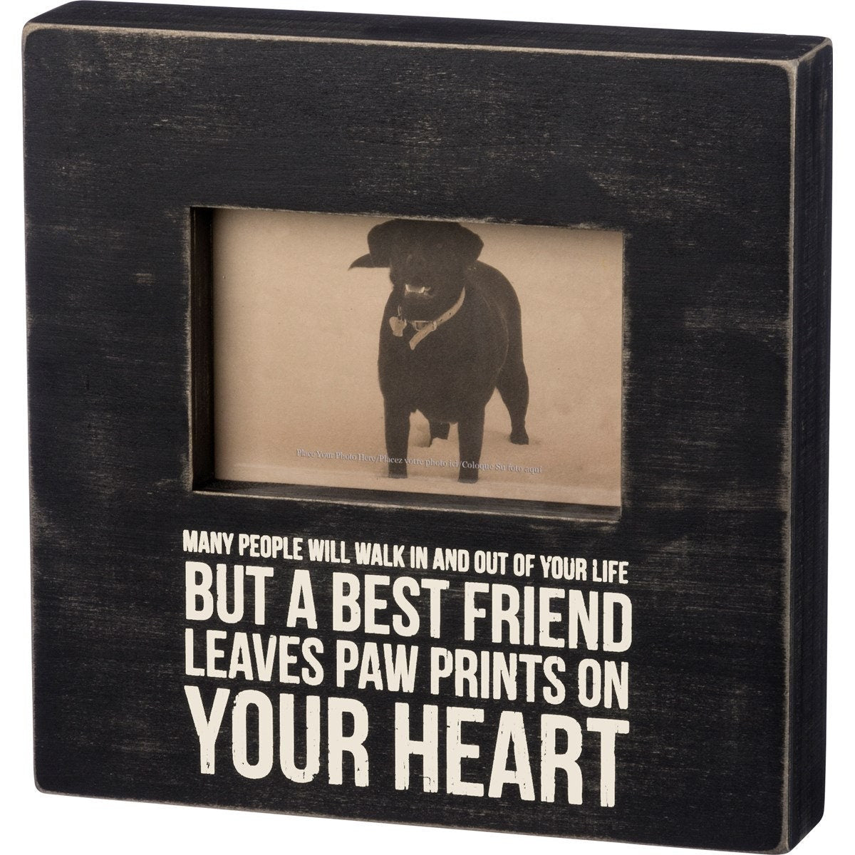 Pet Remembrance Frames
