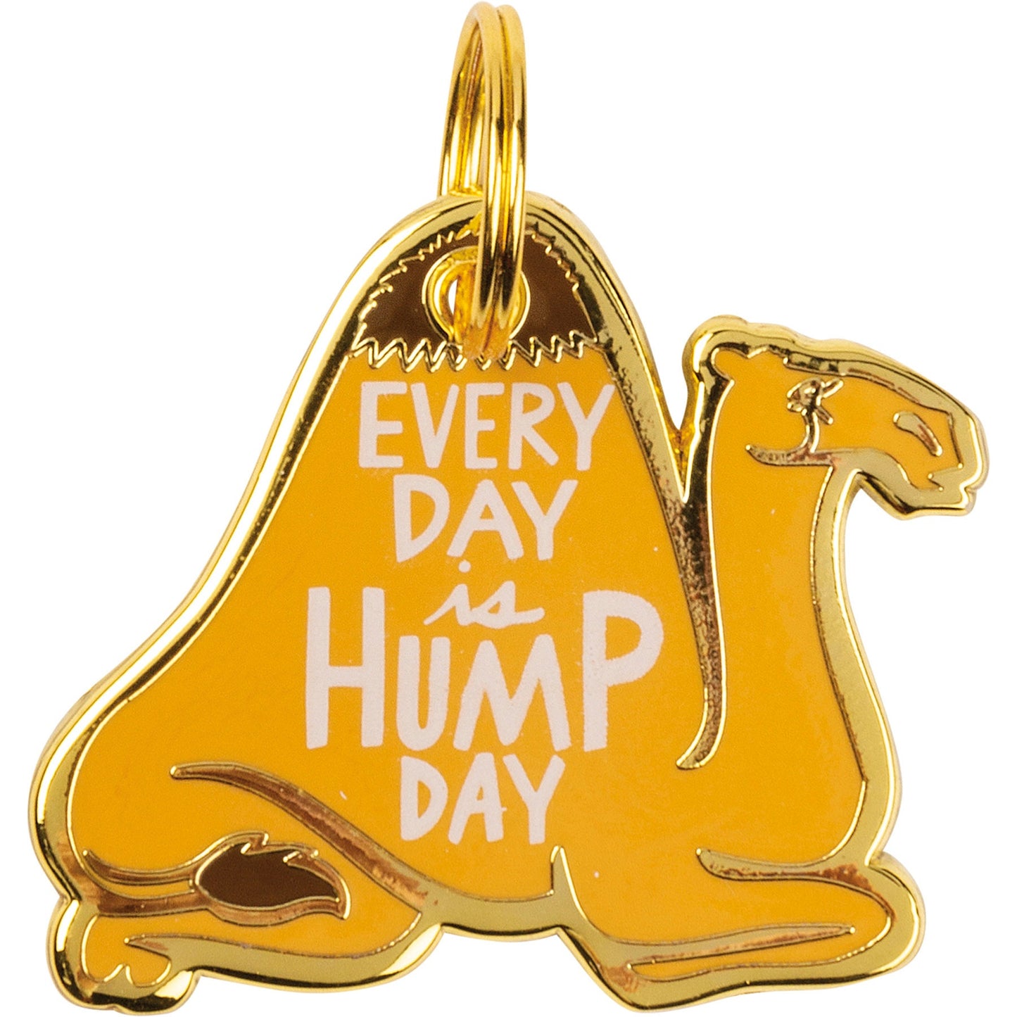 Dog Tag "Every Day Is Hump Day"