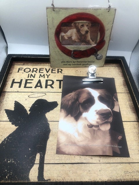 Pet memories/loss photo frames