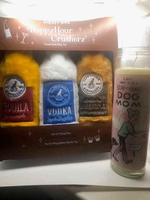 Stuffing free dog toy with dog tags