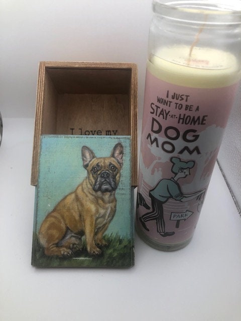 I love my Frenchie