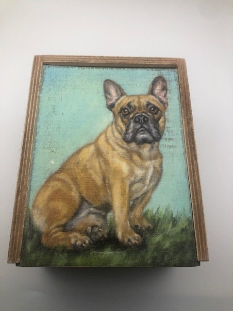 I love my Frenchie