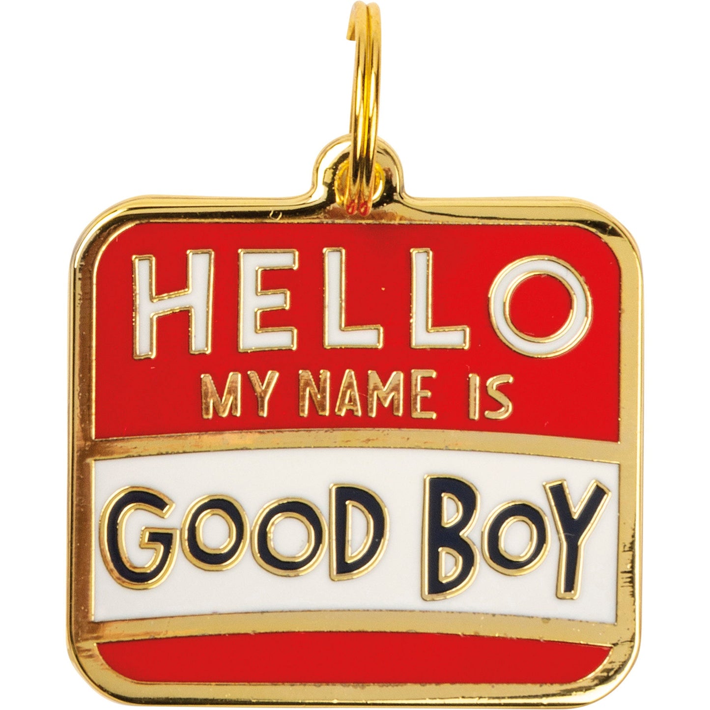 Dog tag "Hello My name is Good Boy"